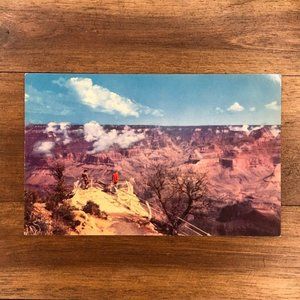 Vintage Arizona Grand Canyon Fred Harvey Postcard